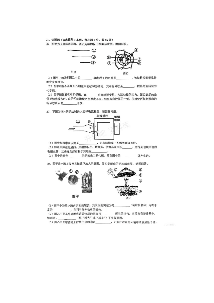 2023湖南省常德市初中学业水平考试生物模拟测试题（图片版含答案）