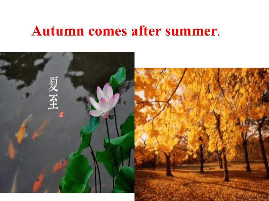 Unit 7 Lesson 37 Seasons and Weather 课件(共20张PPT)