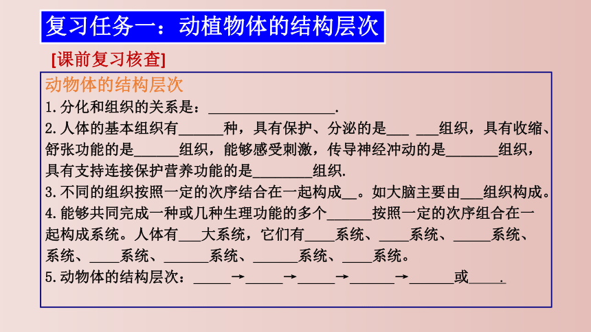 第二单元 生物体的结构层次 复习课件(共26张PPT) 2021--2022学年人教版生物七年级上册