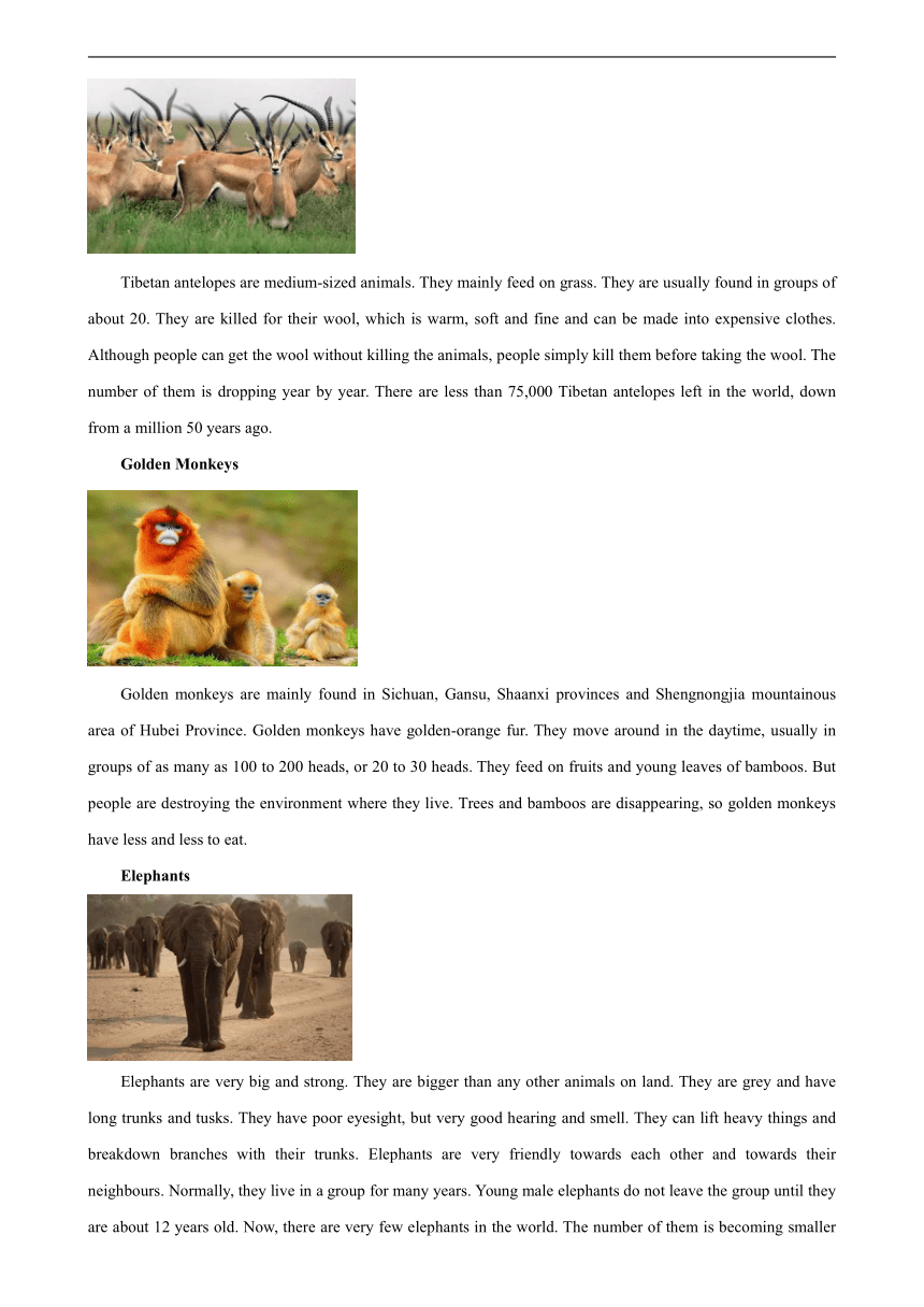 人教版（2019） 必修 第二册Unit 2 Wildlife Protection   Reading and Thinking分层作业（含解析）