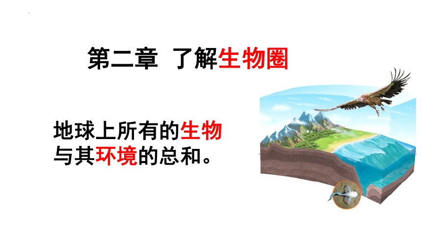 1.2.1生物与环境的关系课件（21张PPT） 2022-2023学年人教版生物七年级上册