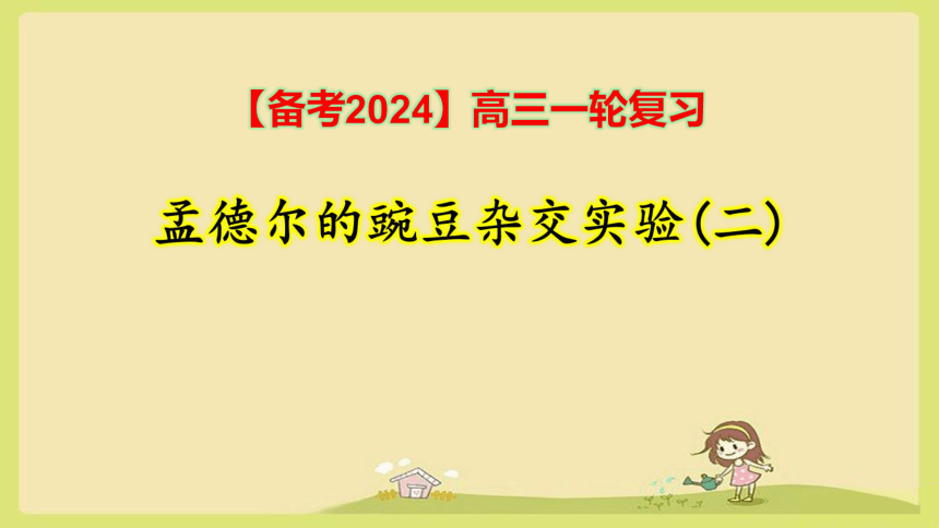 【备考2024】高三一轮复习课件：5-2孟德尔的豌豆杂交实验(二)(共119张PPT)
