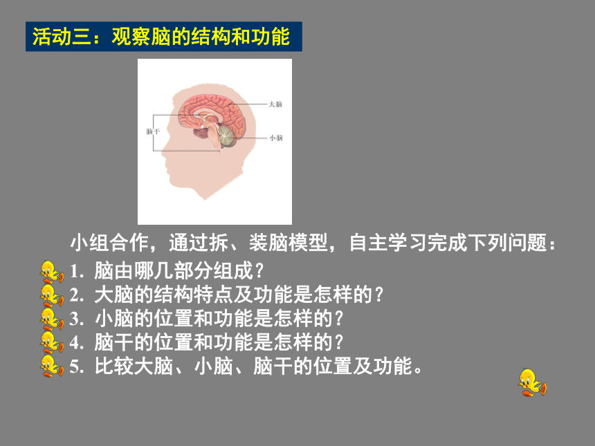 苏科版八上生物 16.1人体的神经调节 课件（共30张PPT）