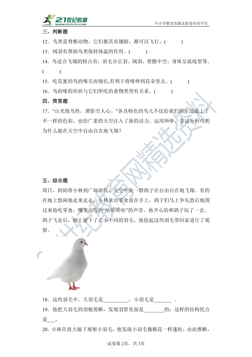 【分层作业】（苏教版2017秋）四年级上册1.3鸟类（含解析）