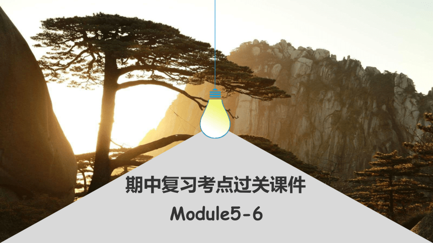 外研版八年级英语上册 期中复习考点过关课件：Module5-6(共21张PPT)