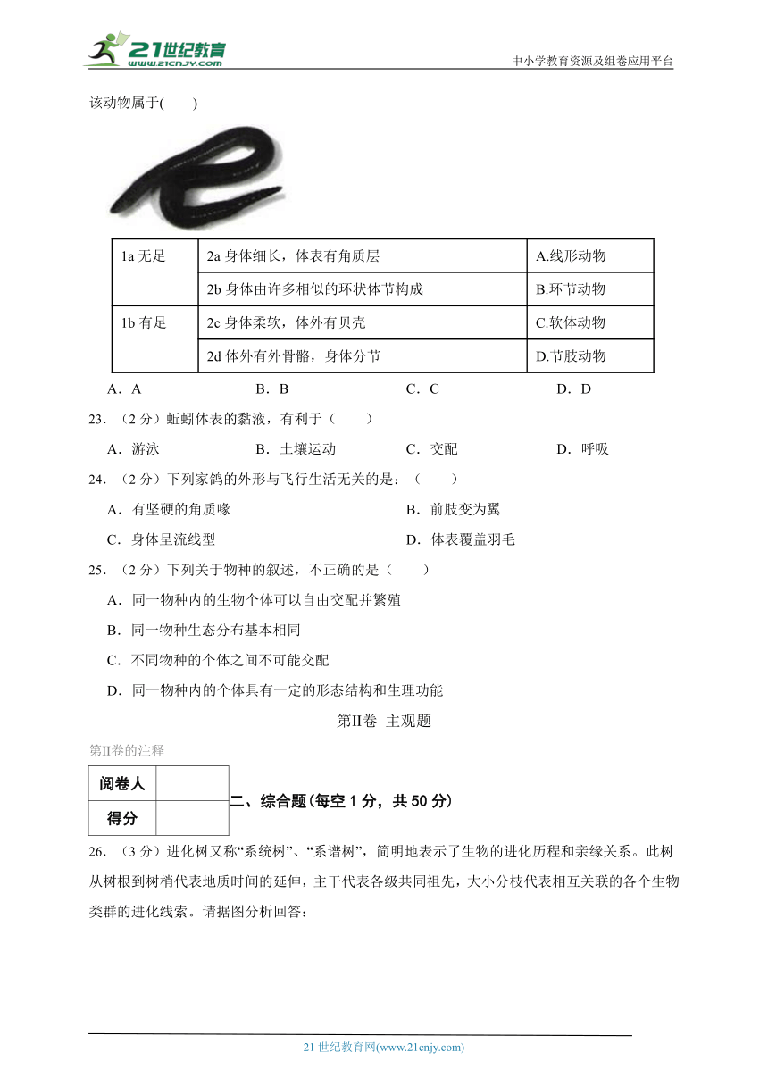 苏教版生物八年级上册期中模拟检测题（二）（含解析）