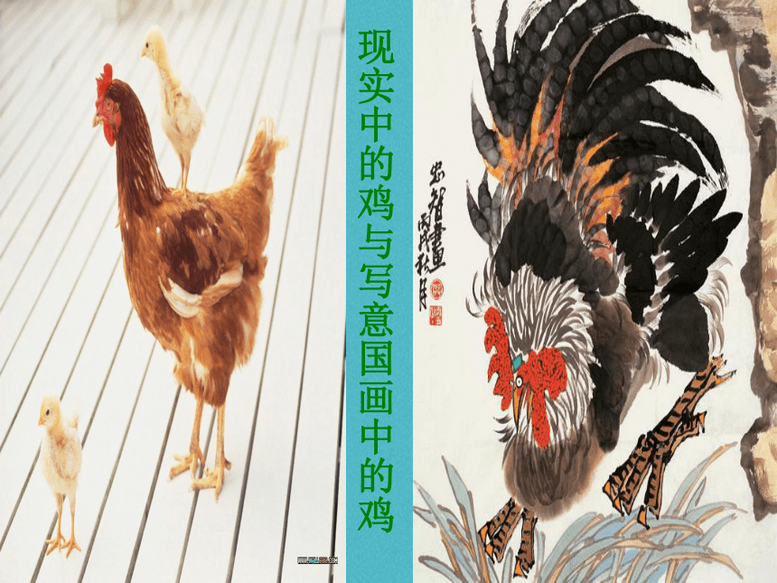 苏少版七年级美术上册 第1课 抒情与写意——中国花鸟画 课件（29ppt）