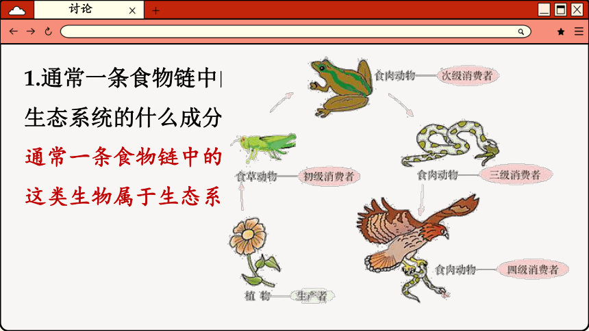 3.6.1 食物链课件(共41张PPT)2023-2024学年初中生物苏科版七年级上册