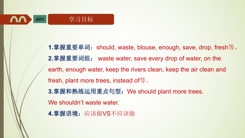 Unit 8 We shouldn't waste water 课件(共33张PPT)