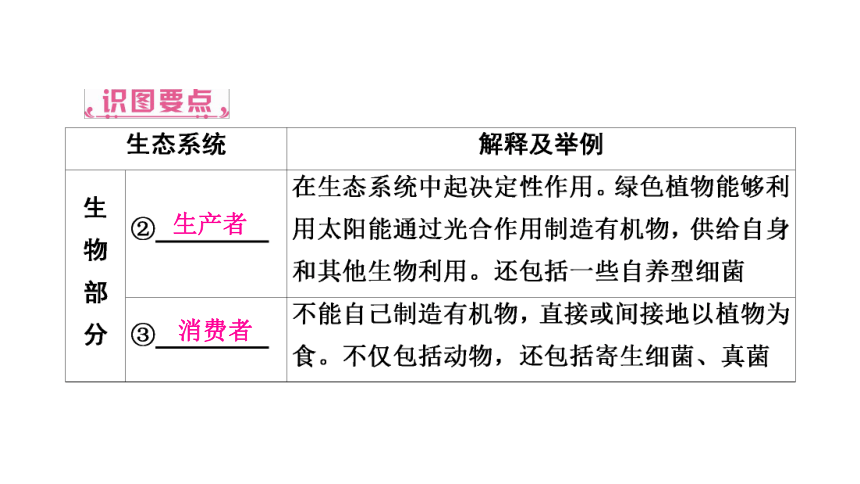 2021年中考甘肃专用生物考点梳理第1单元　第2章　了解生物圈 课件（53张PPT）