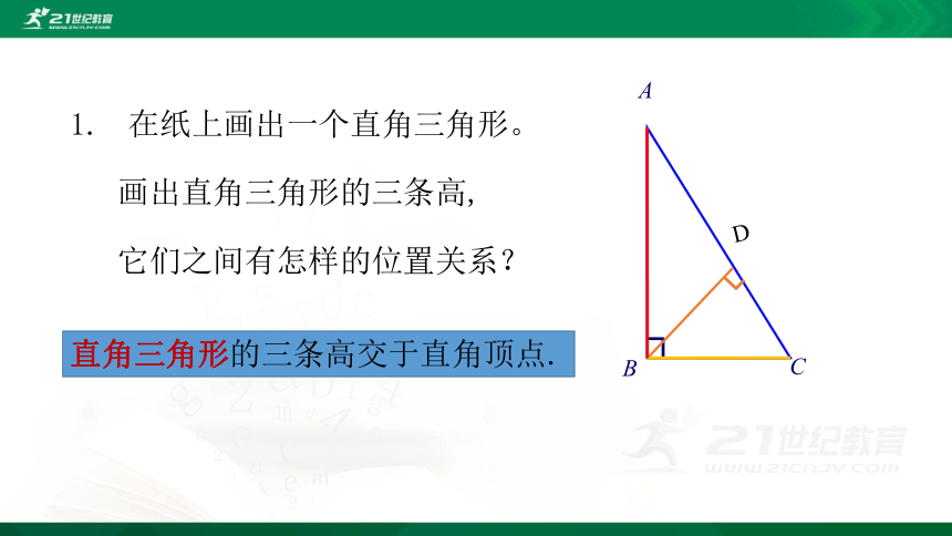 4.1.4 认识三角形及内角和三角形的高 课件（共30张PPT）