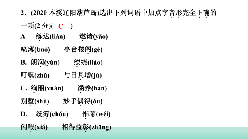 2021年辽宁中考语文二轮复习 知识提升专训：专题一　书写、字音、字形 课件（48张PPT）