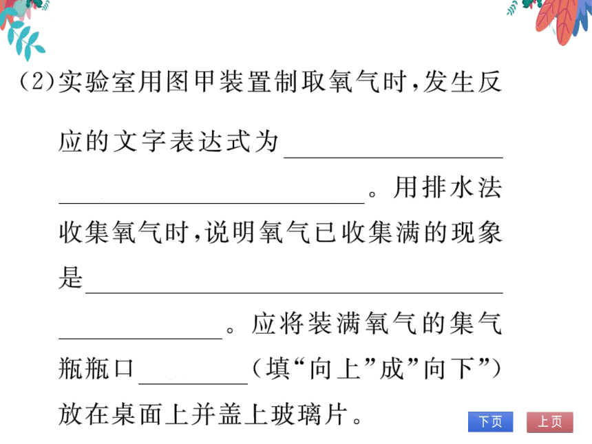 第2单元 我们周围的空气 课题3 制取氧气 习题课件