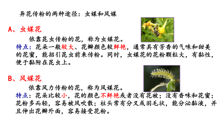 ZJ版科学七下1.5 植物生殖的方式式样性（第1课时，27张ppt）
