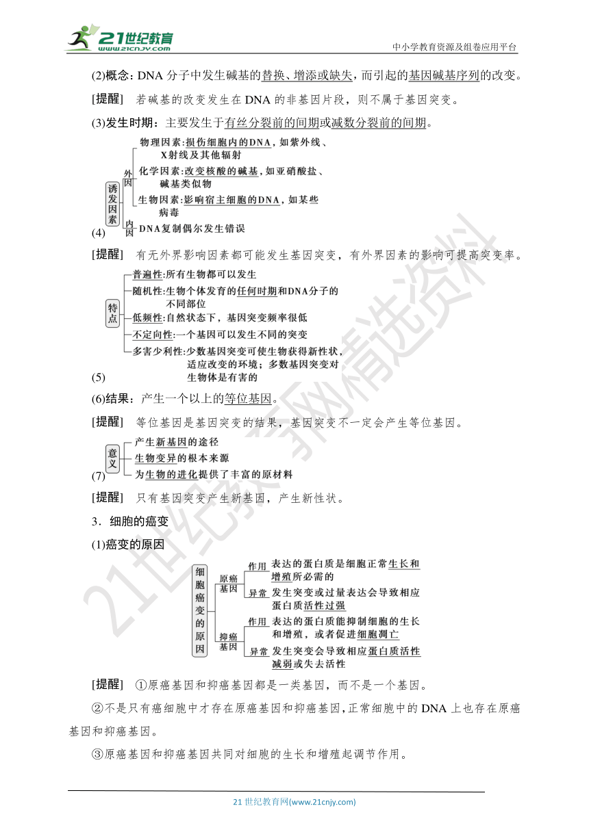 【考点梳理  生物总复习 】43第19讲　基因突变和基因重组