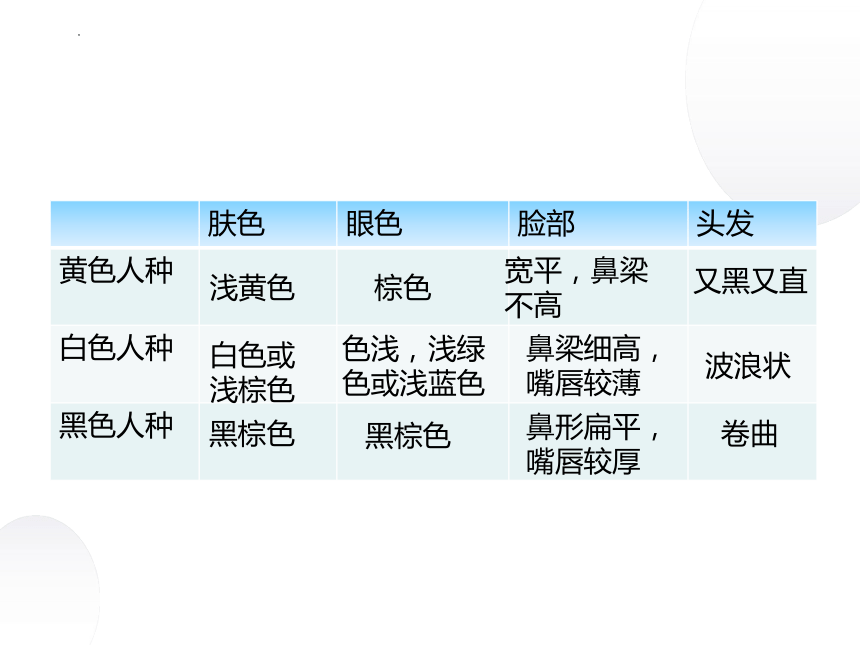 3.1《人种与人口》 第一课时 课件(共17张PPT)2022-2023学年中图版地理八年级上册