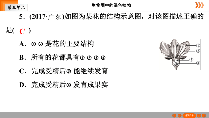 人教版生物七年级上册 第3单元　第2章被子植物的一生本章知识网络 课件（共26张PPT）