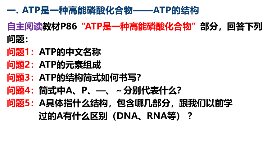 5.2细胞的能量货币ATP（1.5课时）(课件共23张PPT)
