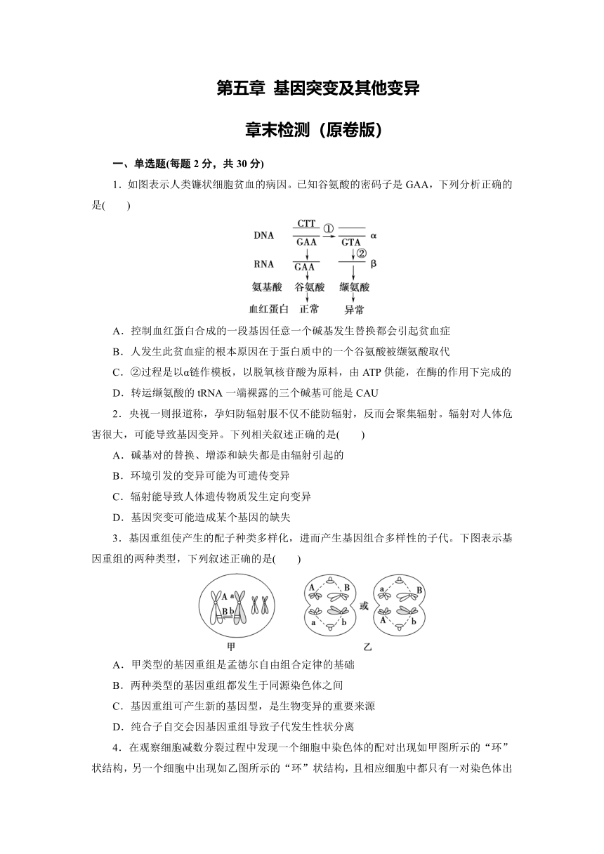 人教版生物必修2第五章 基因突变及其他变异 章末检测（原卷版+解析版）