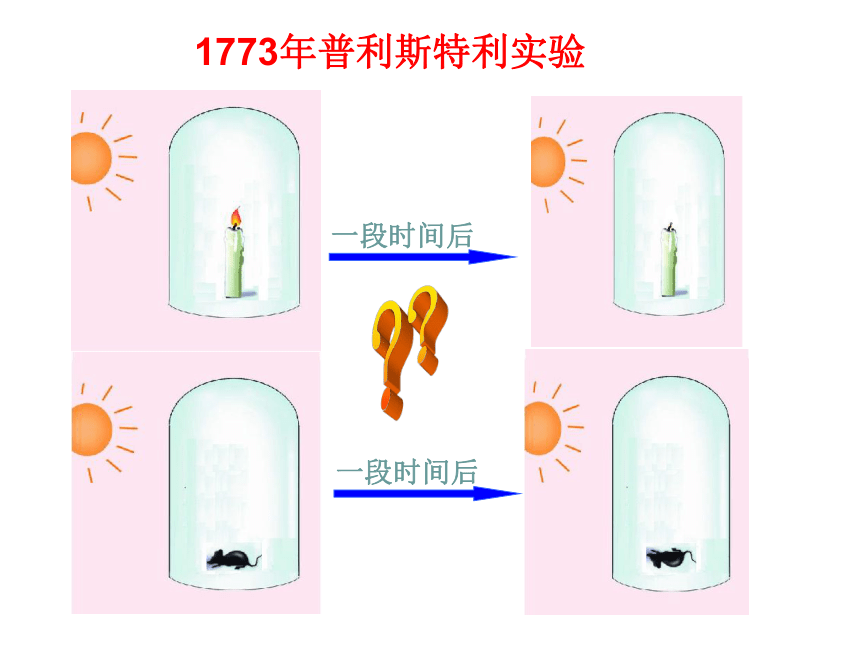 第三单元第五章第一节光合作用吸收二氧化碳释放氧气课件(共28张PPT)2021--2022学年人教版七年级上册