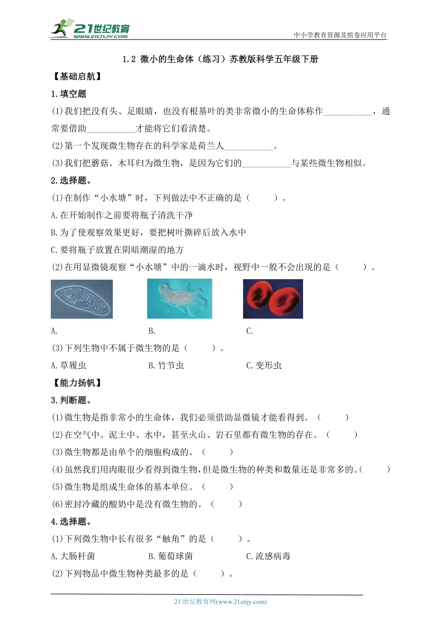 苏教版（2017秋）五年级科学下册1.2 微小的生命体 同步练习（含答案）