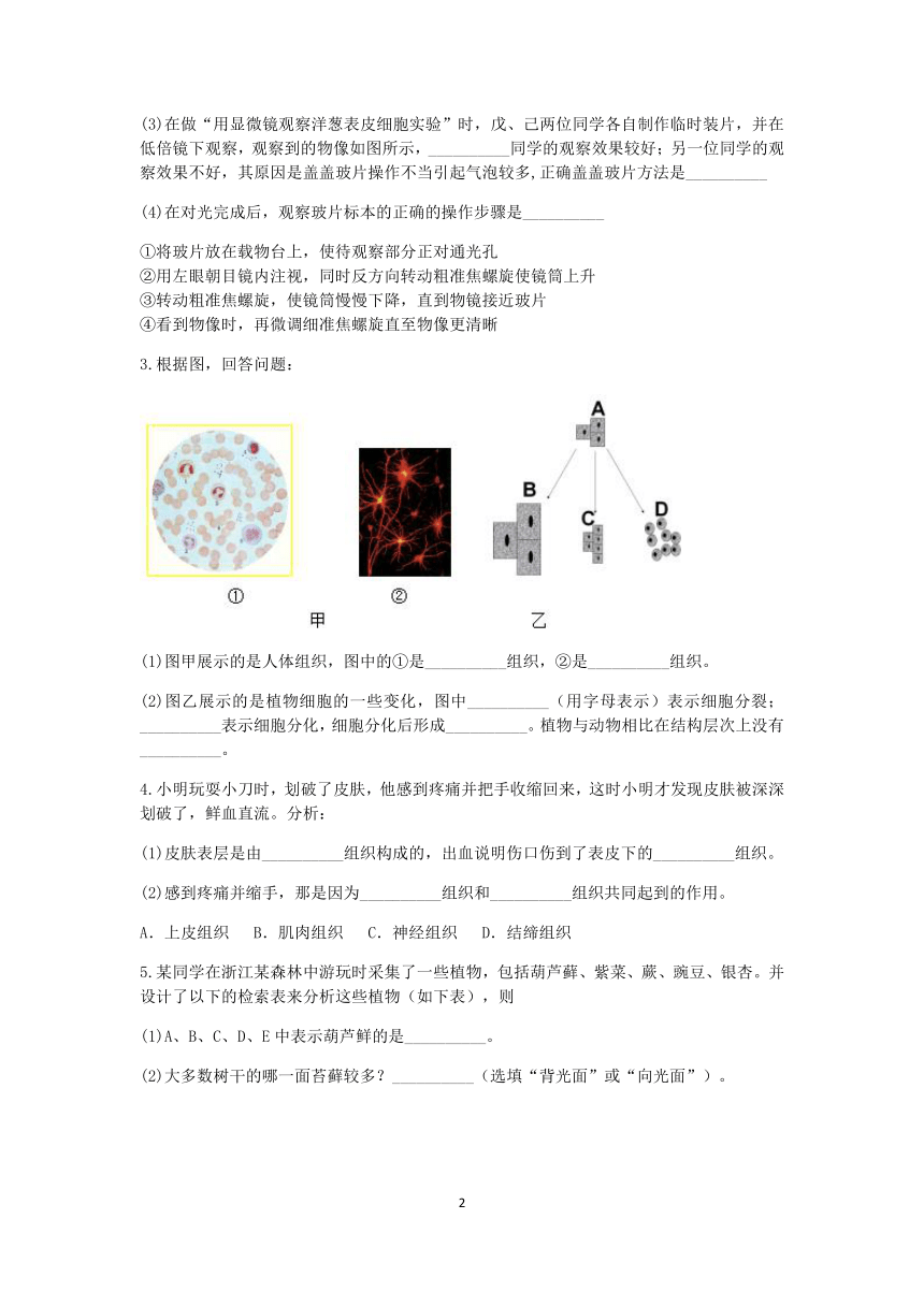 浙教版2022-2023学年上学期七年级科学分类题型训练：第二章《观察生物》填空题（6）【word，含答案】