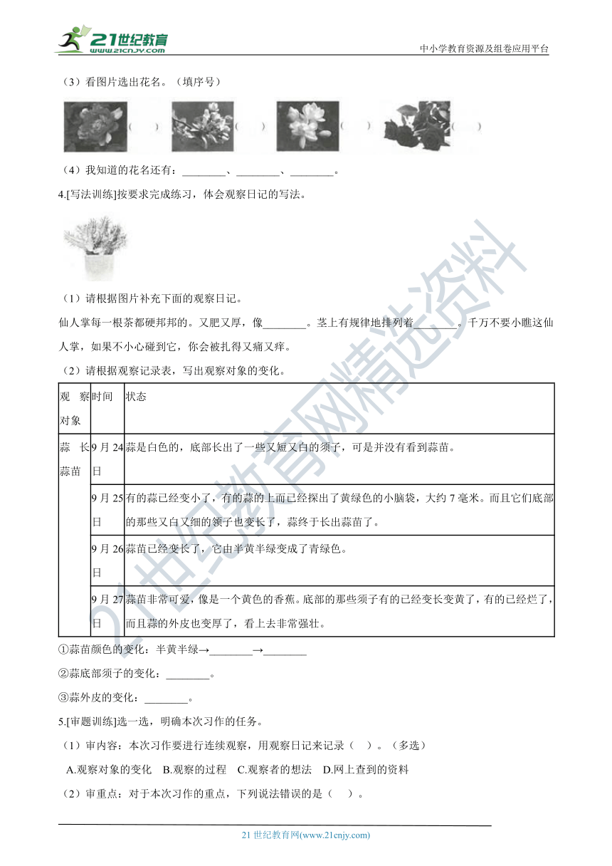 统编版四年级上册语文期末复习专题：06 综合题（含答案）