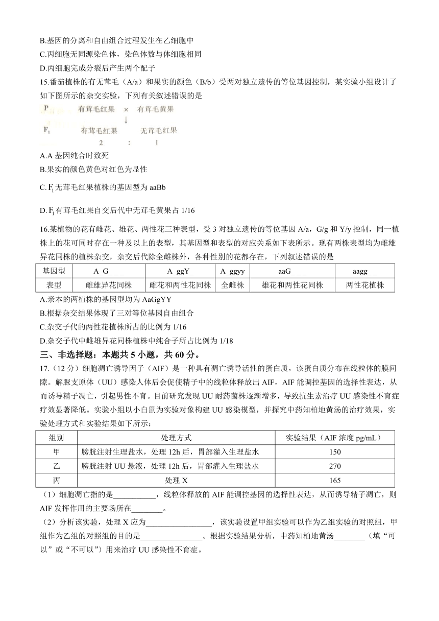 江西省赣州市十八县（市）二十四校2023-2024学年高一下学期期中考试生物试卷（含解析）