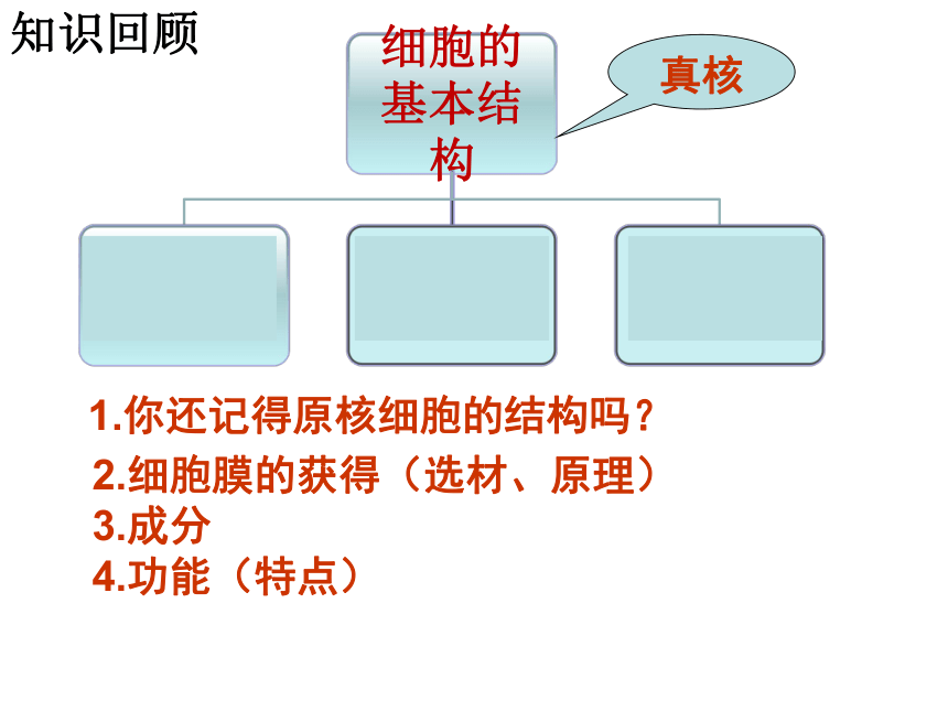 人教版生物高中必修一3.2-细胞器——系统内的分工合作(58张PPT)