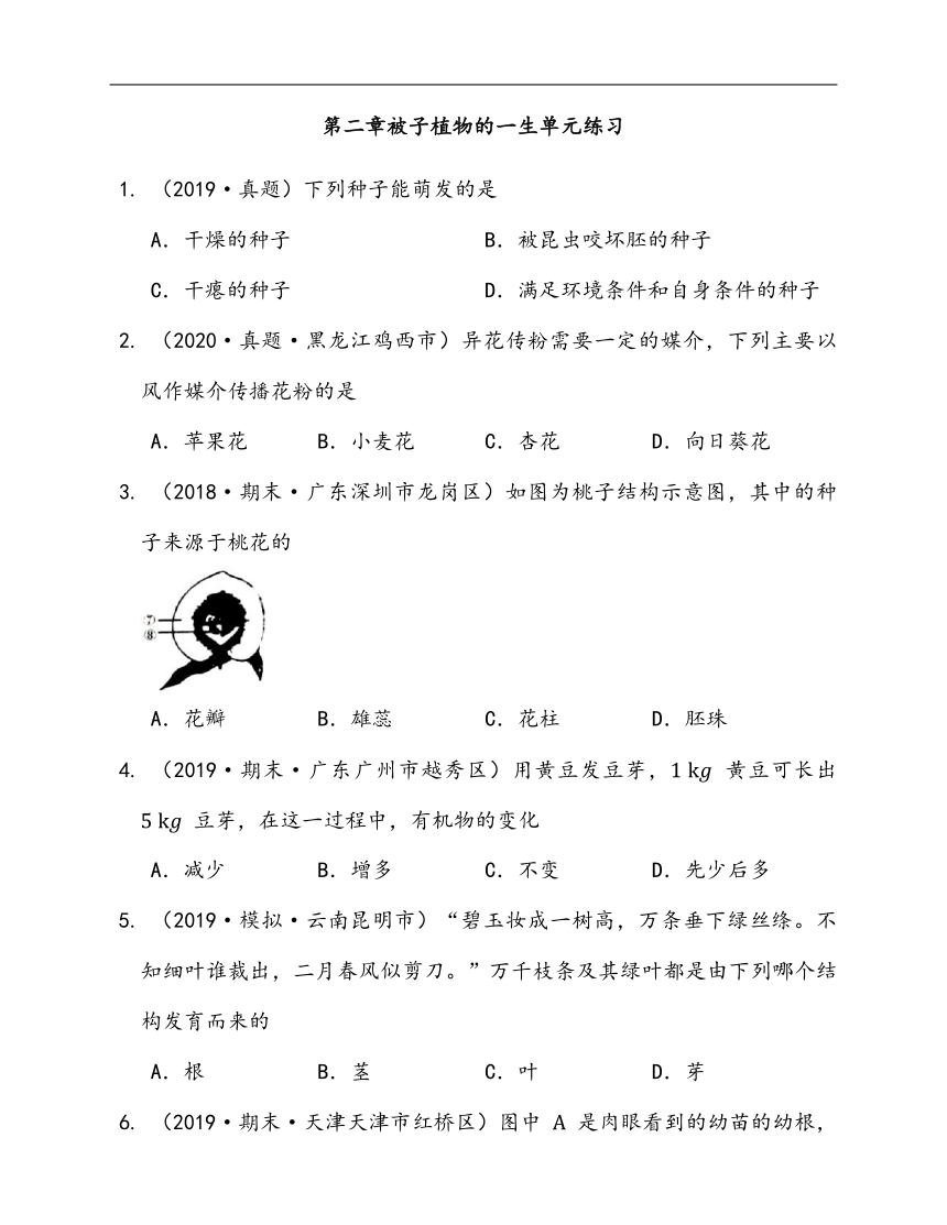 2020-2021学年人教版七年级生物上册第三单元第二章被子植物的一生单元练习(word版含答案解析）