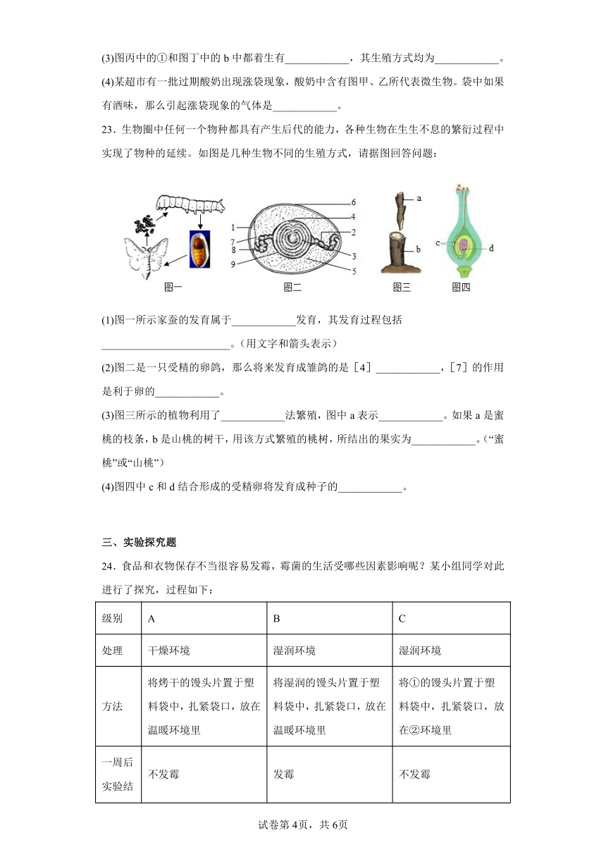 河南省商丘市柘城县2022-2023学年八年级上学期期中生物试题（含答案）