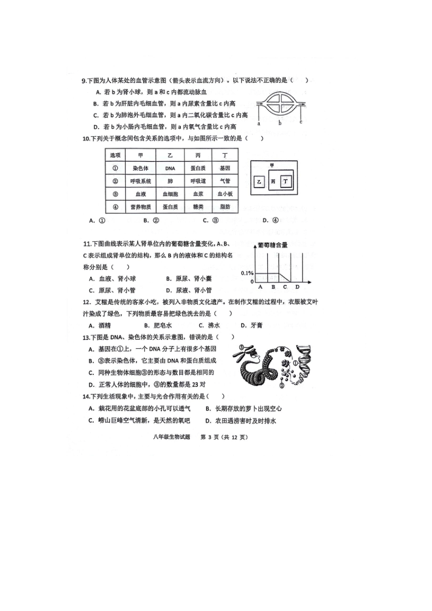 2024年山东省青岛市市南区八年级中考模拟生物试题（图片版无答案）