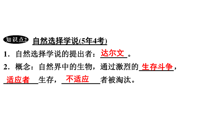 7.3.3 生物进化的原因 课件(共30张PPT)2023年春人教版八年级生物下册