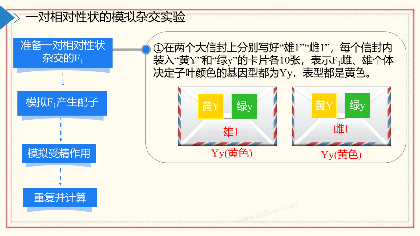 1.2模拟孟德尔杂交实验、两对相对性状的杂交实验及对自由组合现象的解释(共55张PPT)  高中生物 浙科版 必修二