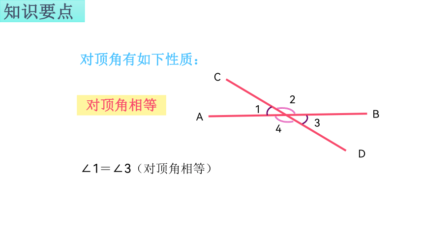 湘教版七年级下册4.1.2相交直线所成的角　课件(共24张PPT)