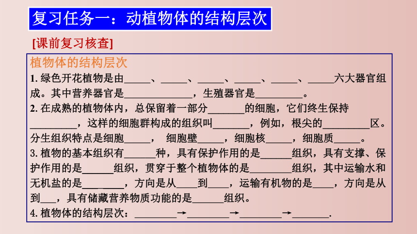 第二单元 生物体的结构层次 复习课件(共26张PPT) 2021--2022学年人教版生物七年级上册