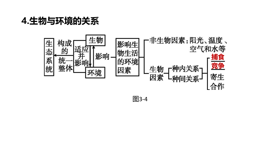 2022年浙江省中考科学一轮复习 第03课时　种群、群落、生态系统和生物圈（课件 46张PPT）