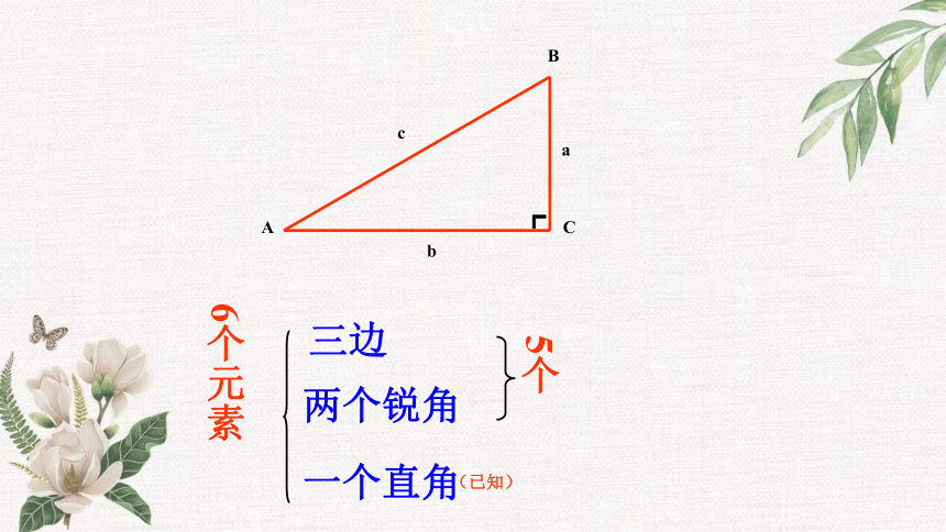 2.4 解直角三角形 课件（共16张PPT）