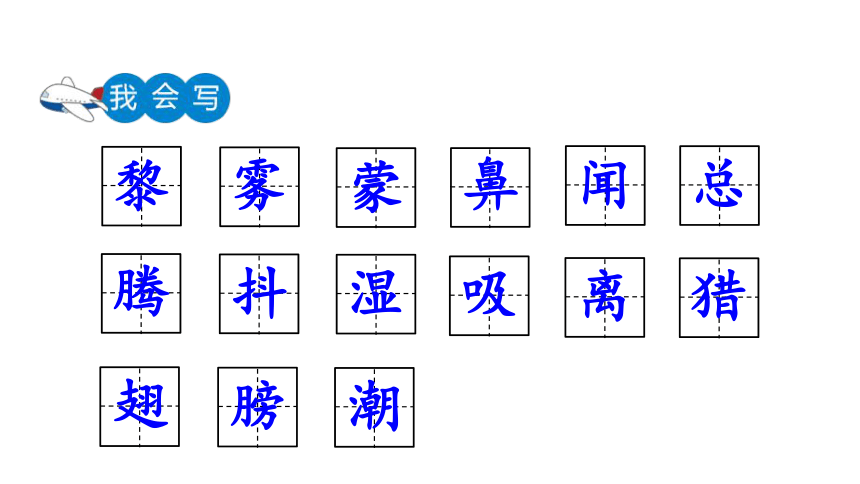 23 父亲、树林和鸟 课件 （共48张PPT）