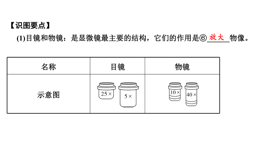 2.1  细胞是生命活动的基本单位期末复习课件(共44张PPT)