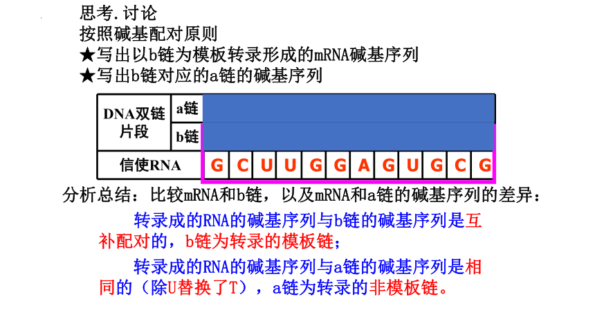 4.1基因指导蛋白质的合成课件-人教版2019必修2(共38张PPT)