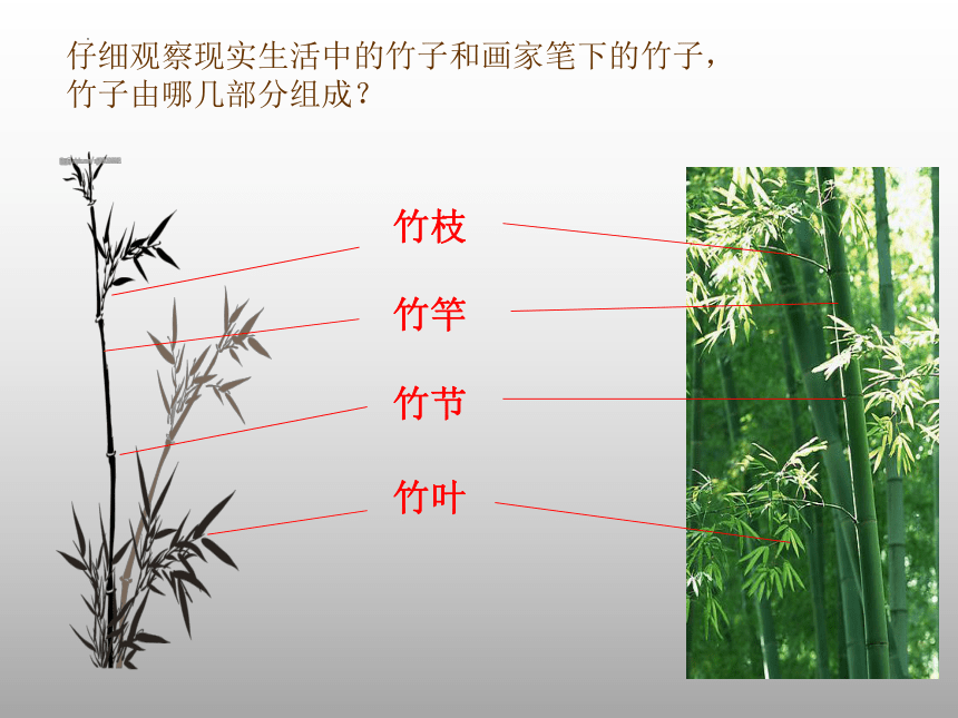 浙美版 美术六年级下册 10.竹 课件 (共14张PPT)