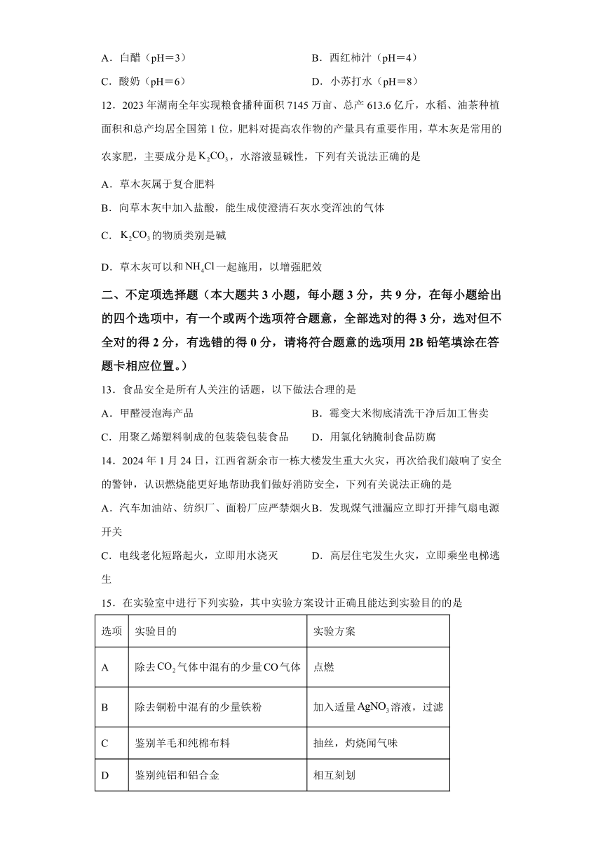 湖南省长沙市雅礼教育集团2023-2024学年九年级下学期期中考试化学试题（含解析）