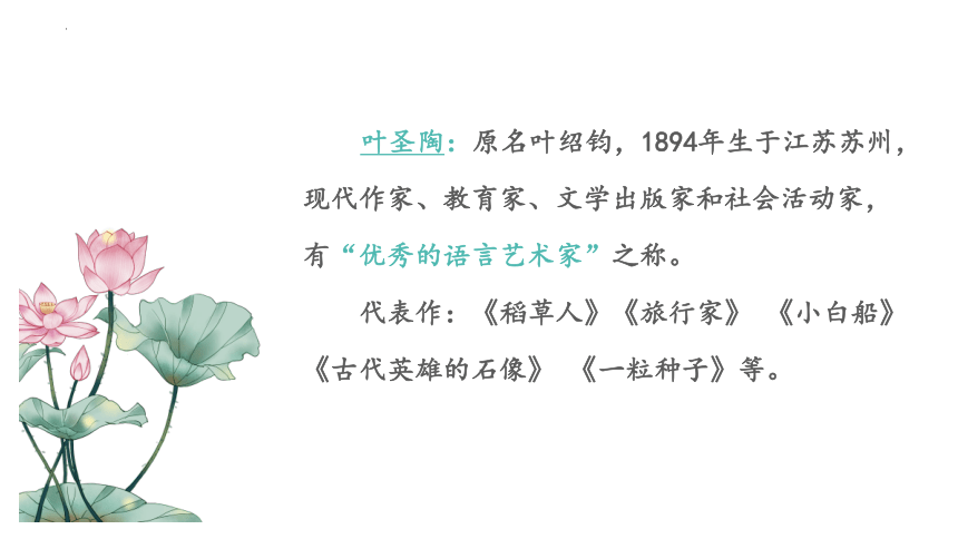 3《荷花》课件(共19张PPT)