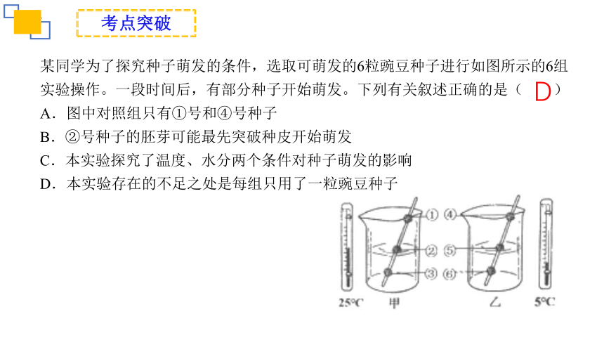 专题05 被子植物的一生-2023年中考生物复习课件(共24张PPT)