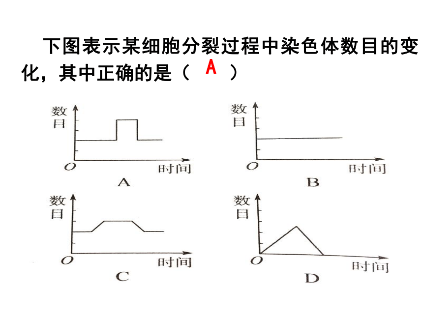 2021-2022学年人教版七年级生物上册第二单元第二章细胞怎样构成生物体复习课件(共46张PPT)