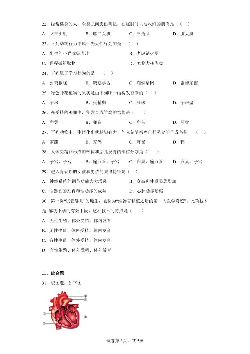 宁夏中卫市中宁县2022-2023学年八年级上学期期末生物试题(含答案)