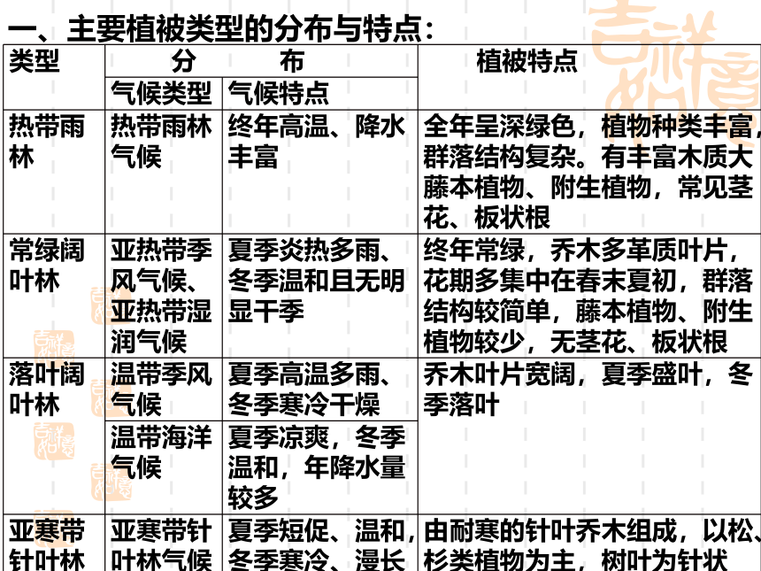 第五章地球上的植被与土壤复习课课件（共26张PPT）