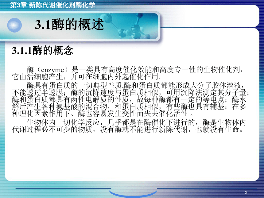 3.1酶的概述 课件(共27张PPT)- 《环境生物化学》同步教学（机工版·2020）