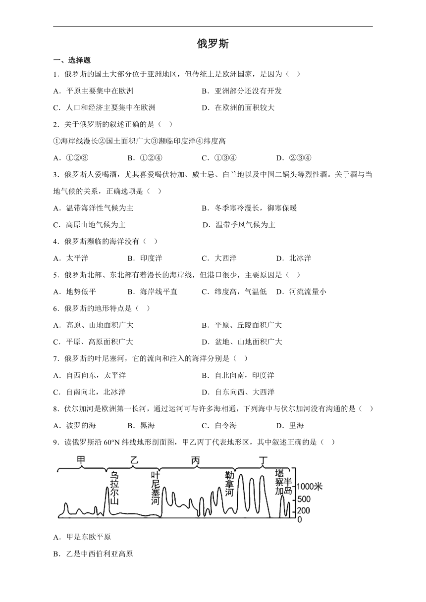 8.1俄罗斯 课时练习（含答案）2022-2023学年七年级地理仁爱版下册